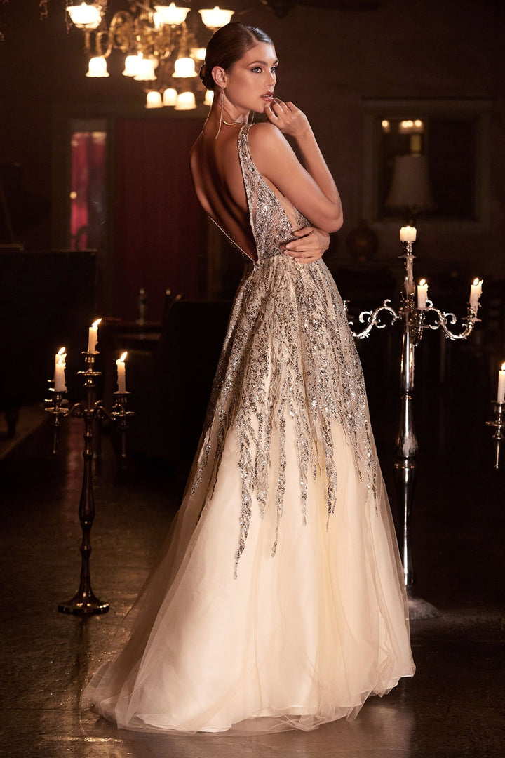 Beaded V-Neckline Beaded Sequin Bodice Layered Tulle A-Line Skirt Long Prom Dress CDC135-3