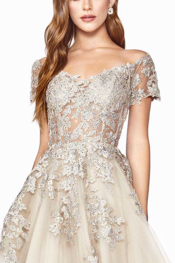 A-line Embellished Bodice Tulle Layered Skirt Laced Corset Prom & Bridesmaid Dress CDC20-2