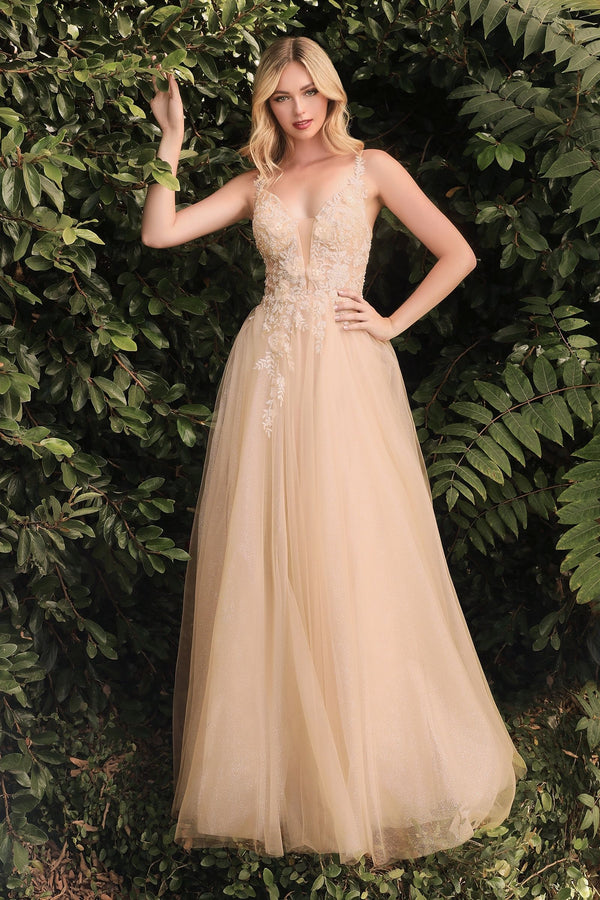 Floral A-Line Embroidered Lace Illusion V-Neck Long Prom Dress CDCB075-0