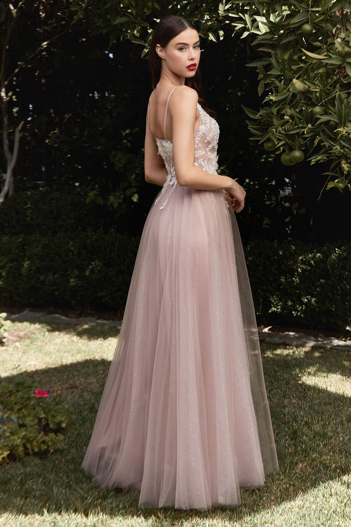 Floral A-Line Embroidered Lace Illusion V-Neck Long Prom Dress CDCB075-1