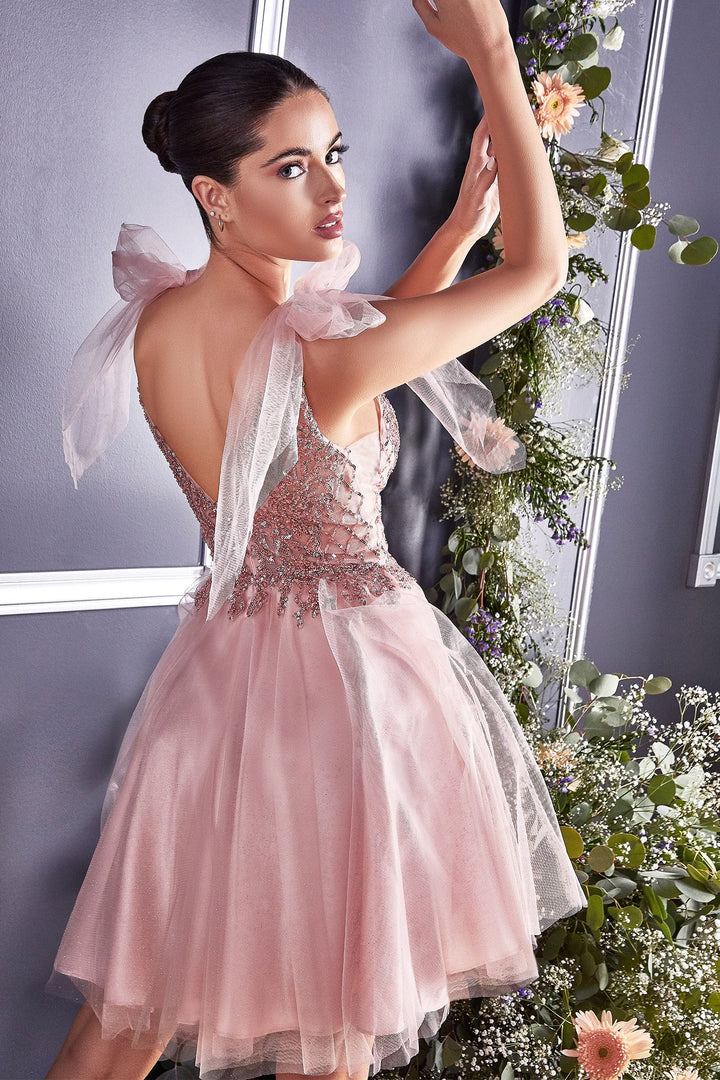 A-Line Tulle Embroidered Lace Illusion V-Neck Short Cocktail Dress CDCD0174-4