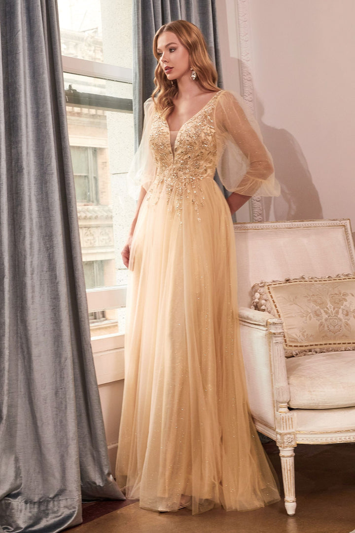 Glitter Tulle A-Line Dress-1