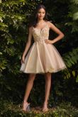 Tulle Sleeveless Laced Appliqué Floral Bodice Princess Babydoll Skirt Short Cocktail Dress-3