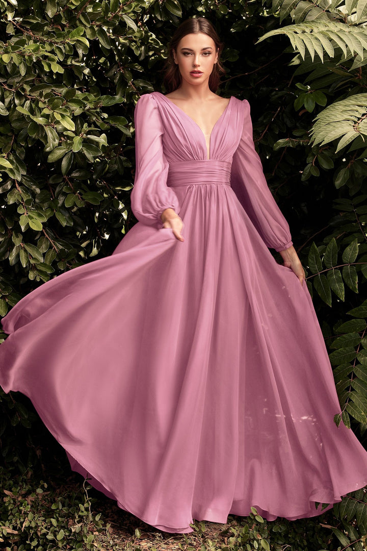 Long Sleeve Chiffon Gathered Fitted Bodice Open Back A-line Long Prom & Ball Dress-1