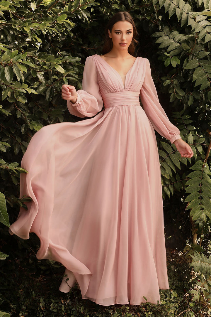 Long Sleeve Chiffon Gathered Fitted Bodice Open Back A-line Long Prom & Ball Dress-2
