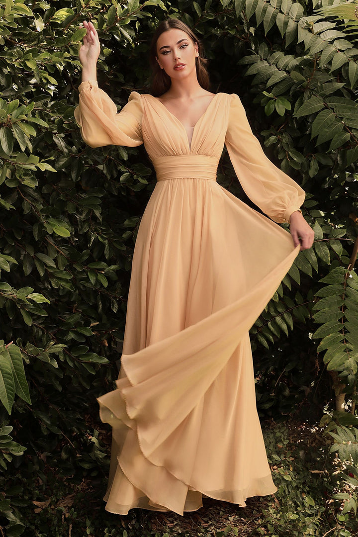 Long Sleeve Chiffon Gathered Fitted Bodice Open Back A-line Long Prom & Ball Dress-3