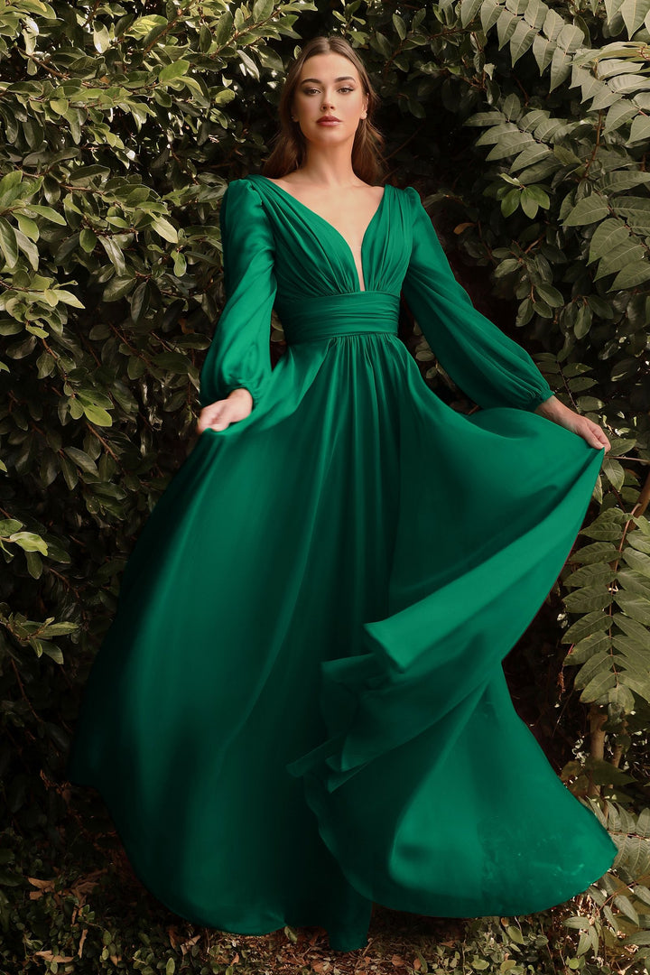 Long Sleeve Chiffon Gathered Fitted Bodice Open Back A-line Long Prom & Ball Dress-4