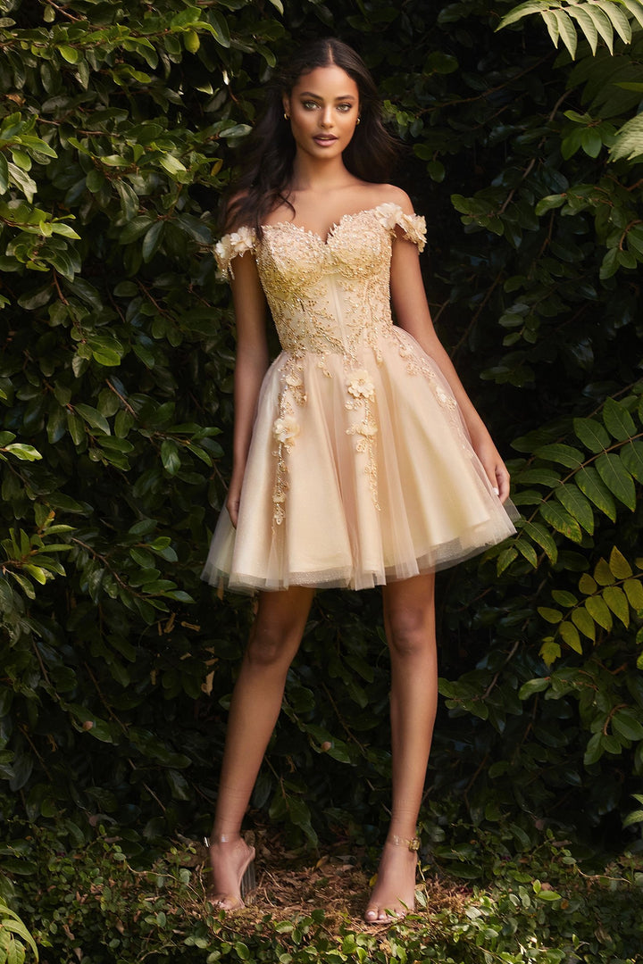 Lace A-line off the shoulder Embroidered Bodice Short Cocktail & Homecoming Dress CDCD0194-5