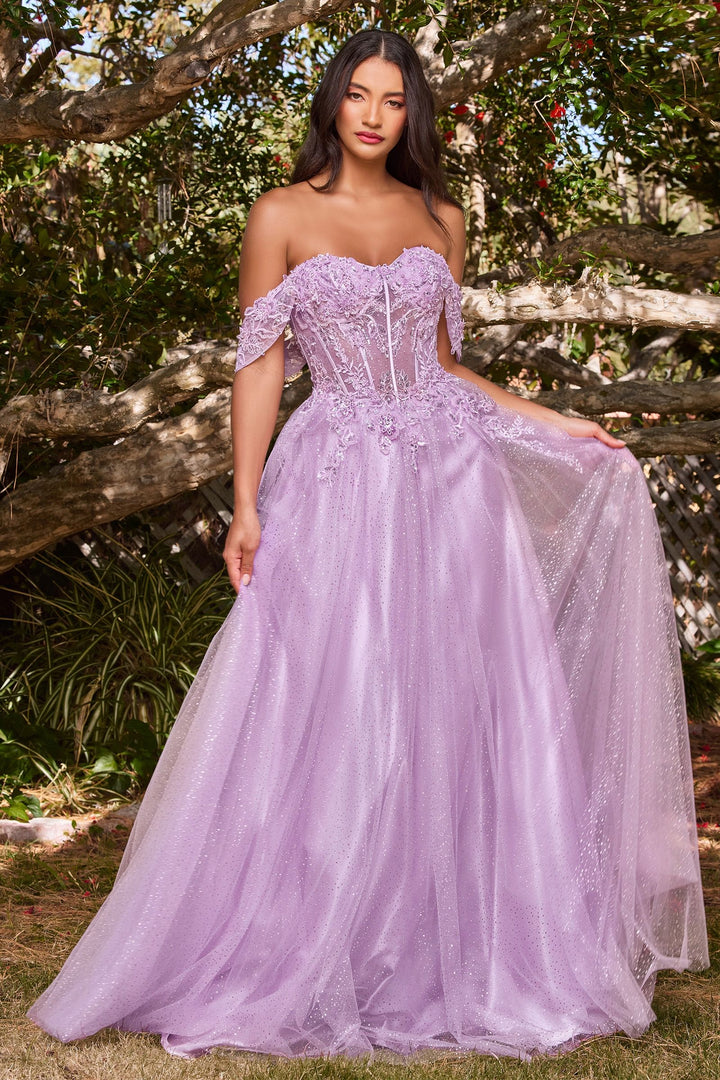Lace A-Line Off the shoulder Sleeves Floral Sheer Bodice Long Prom & Bridesmaid Dress CDCD0198-7