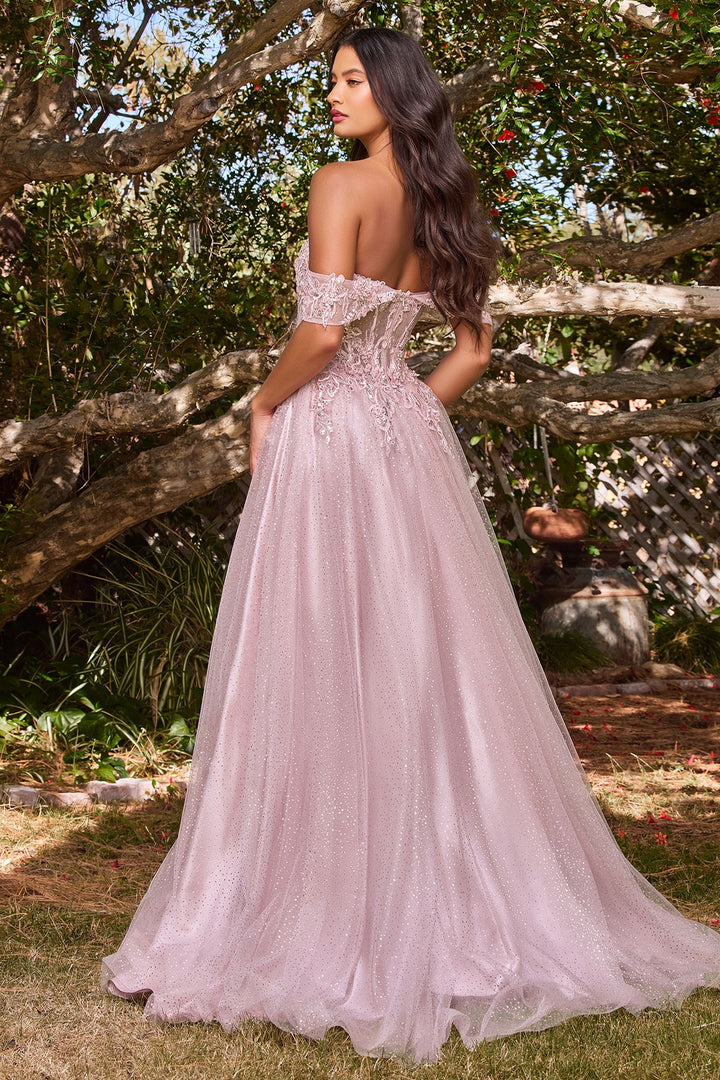 Lace A-Line Off the shoulder Sleeves Floral Sheer Bodice Long Prom & Bridesmaid Dress CDCD0198-8