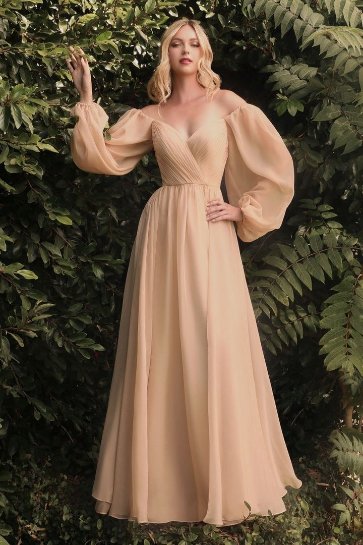 Chiffon A-line Long Sheer Sleeves On or Off Shoulder Neckline Long Prom & Evening Dress CDCD243-1