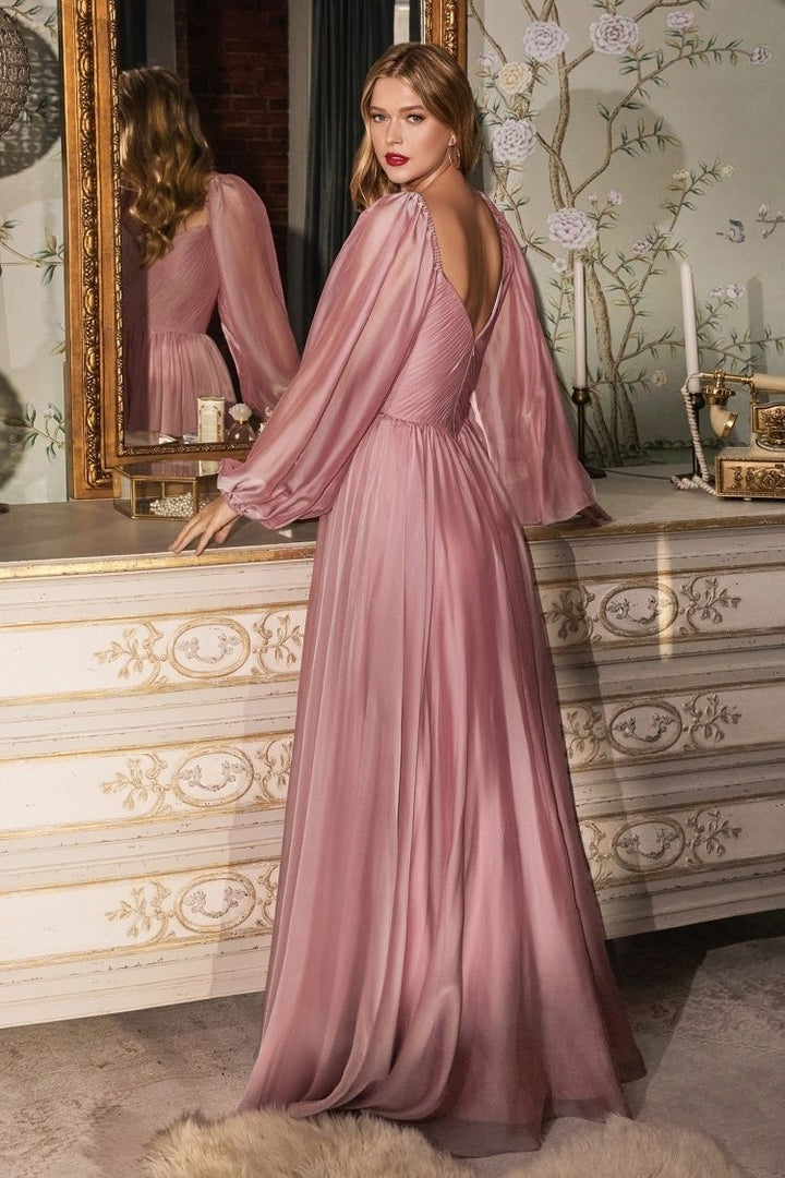 Chiffon A-line Long Sheer Sleeves On or Off Shoulder Neckline Long Prom & Evening Dress CDCD243-3
