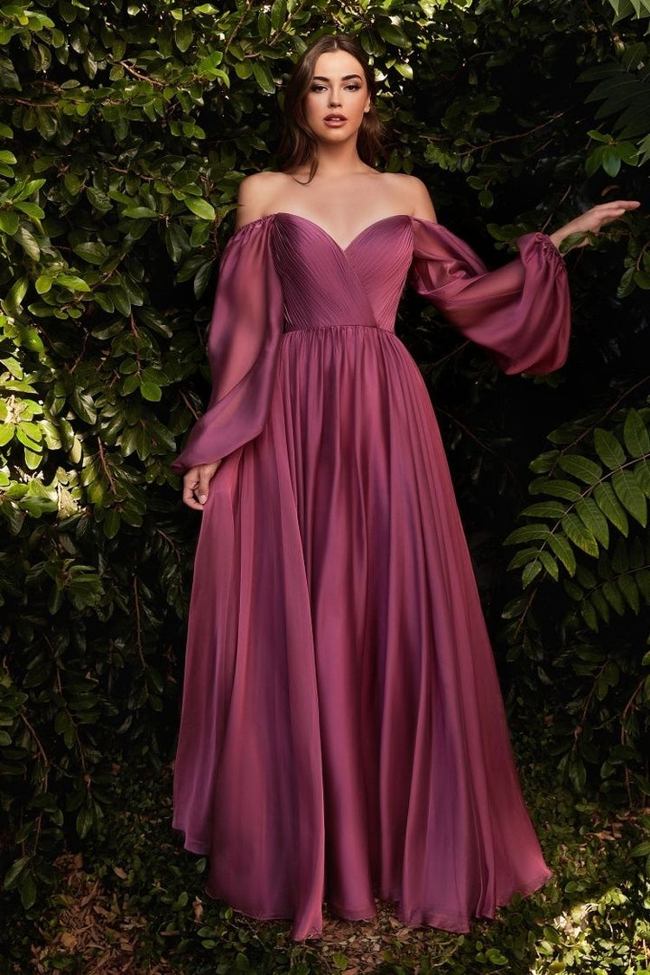 Chiffon A-line Long Sheer Sleeves On or Off Shoulder Neckline Long Prom & Evening Dress CDCD243-4