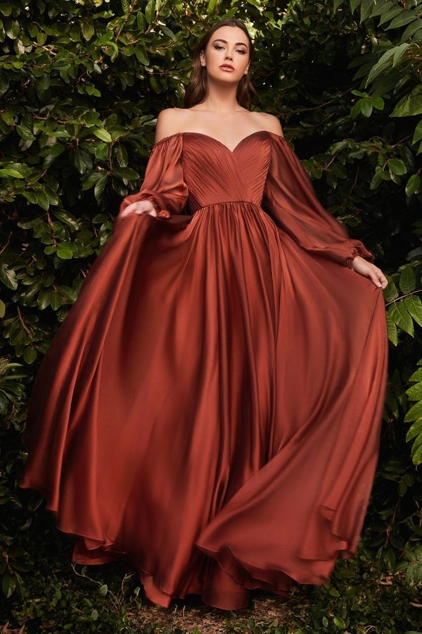 Chiffon A-line Long Sheer Sleeves On or Off Shoulder Neckline Long Prom & Evening Dress CDCD243-5