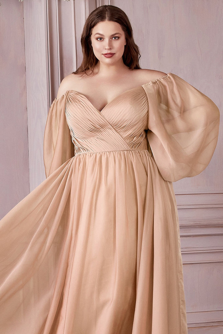 Long Sleeves Bodice A-line Chiffon Plus Size Off Shoulder Long Evening & Prom Dress CDCD243C-1