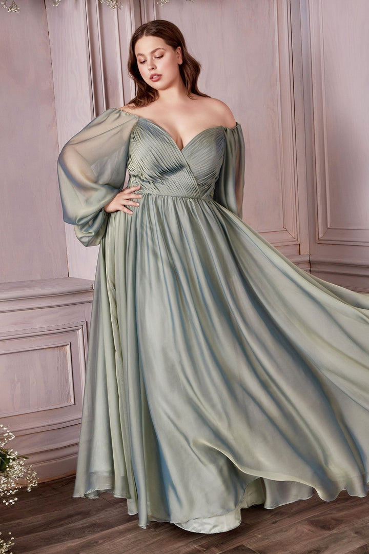 Long Sleeves Bodice A-line Chiffon Plus Size Off Shoulder Long Evening & Prom Dress CDCD243C-4