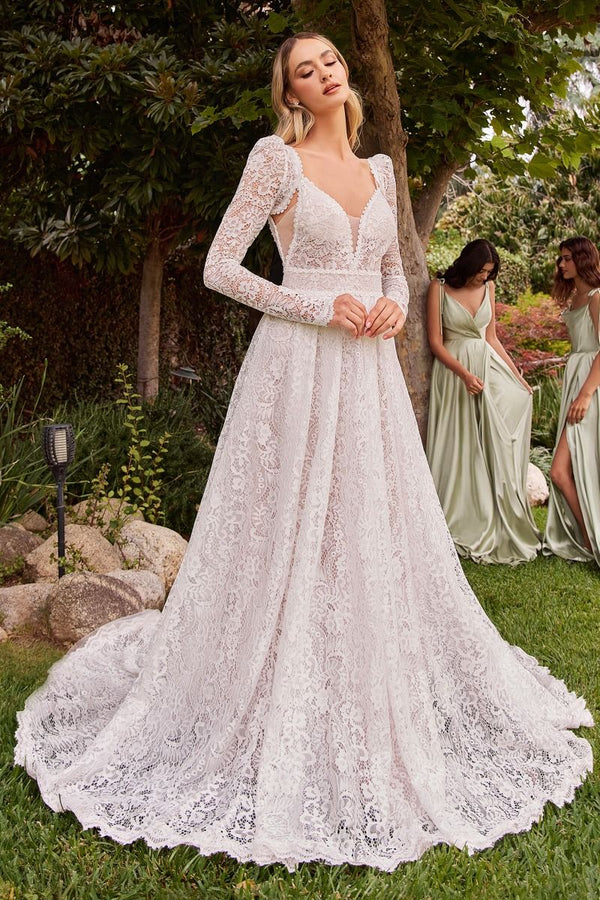 Embroidered Lace A-Line Removable Jacket Illusion V-Neck Long Wedding Dress CDCD862W-0