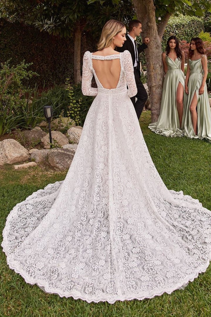 Embroidered Lace A-Line Removable Jacket Illusion V-Neck Long Wedding Dress CDCD862W-3
