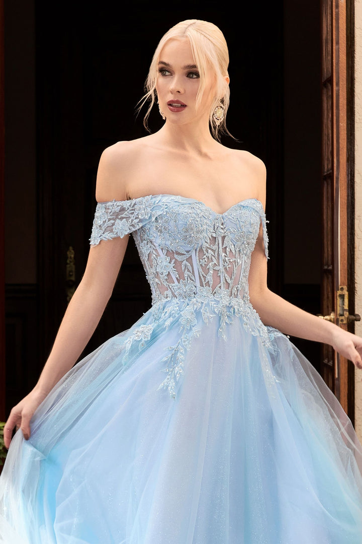 Off Shoulder Embellished Floral Laced Bodice A-line Tulle Skirt Modern Vintage Prom-3