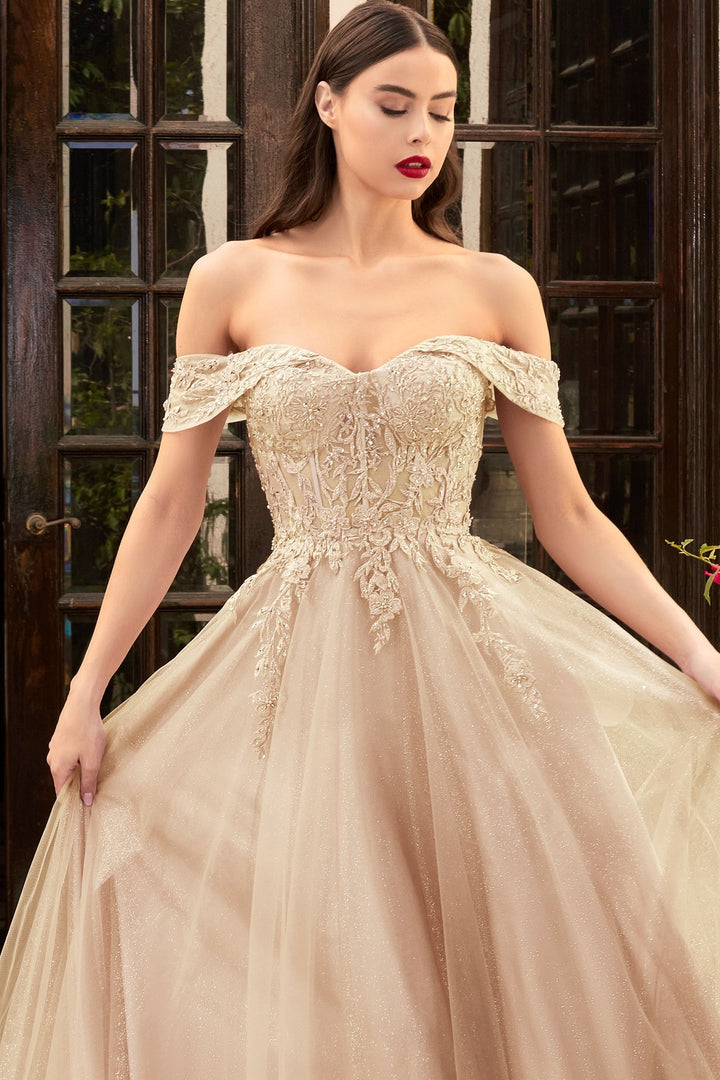 Off Shoulder Embellished Floral Laced Bodice A-line Tulle Skirt Modern Vintage Prom-0