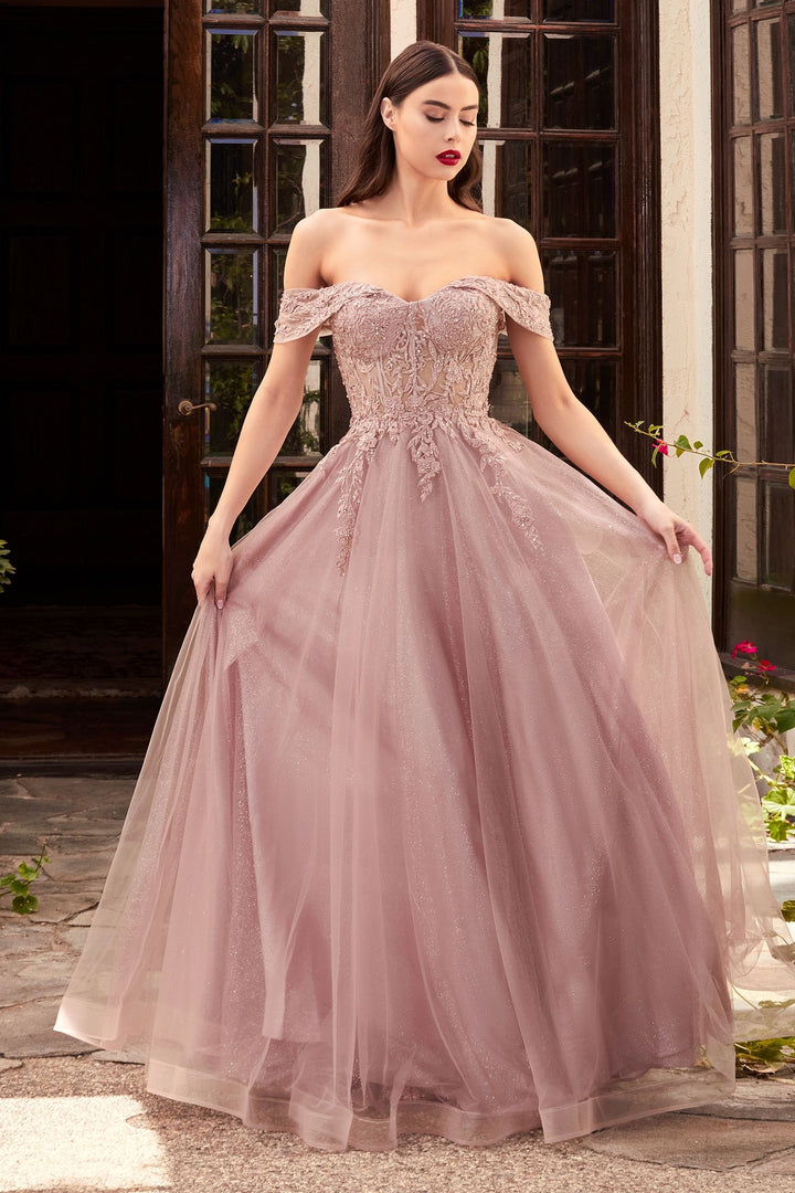 Off Shoulder Embellished Floral Laced Bodice A-line Tulle Skirt Modern Vintage Prom-1