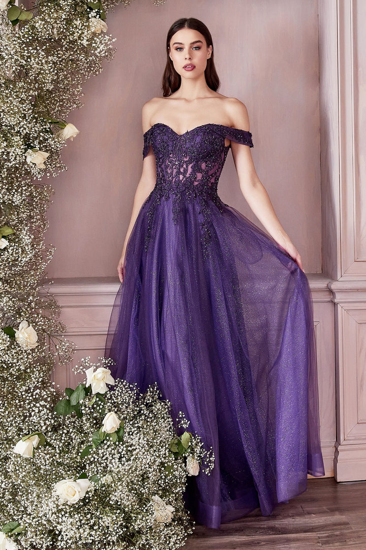 Off Shoulder Embellished Floral Laced Bodice A-line Tulle Skirt Modern Vintage Prom-2