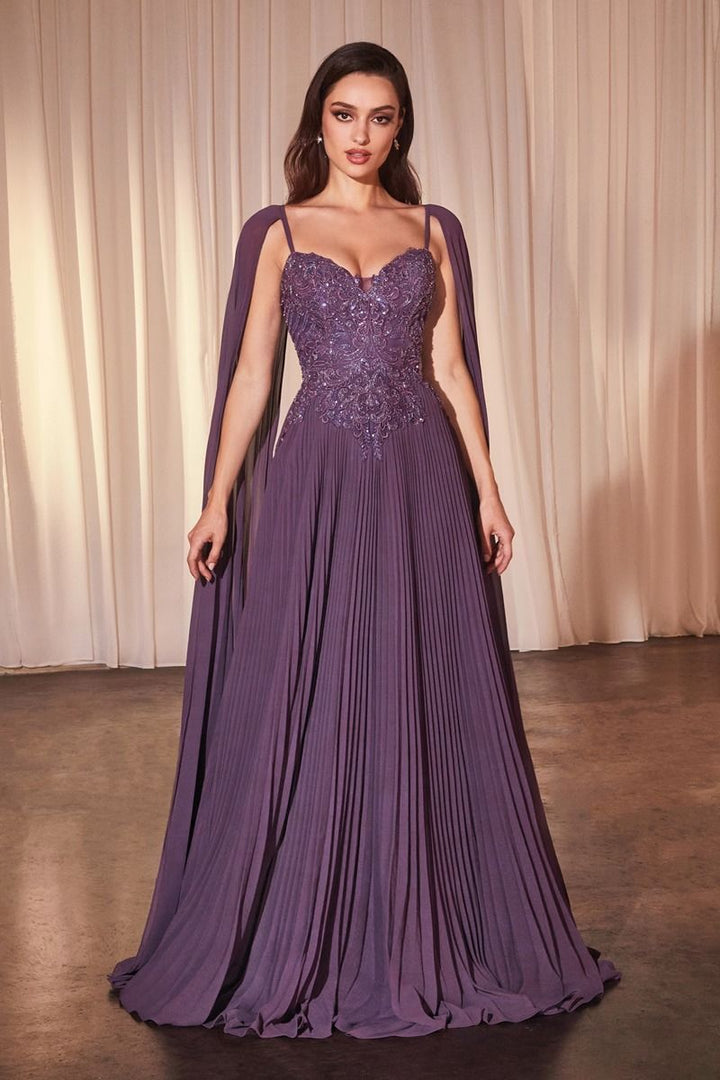 Pleated A-Line Gown With Cape Sleeves-2