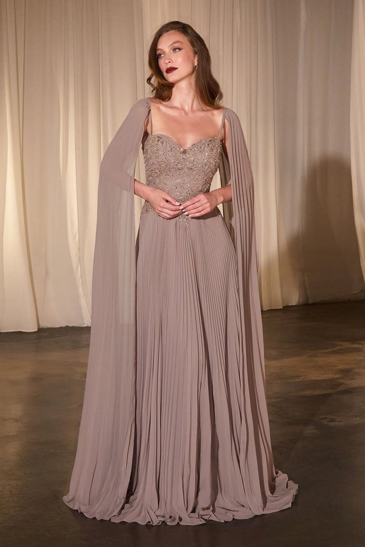 Pleated A-Line Gown With Cape Sleeves-1