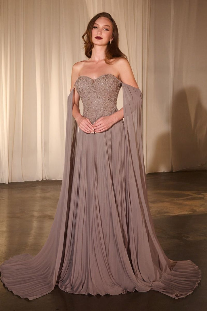Pleated A-Line Gown With Cape Sleeves-4