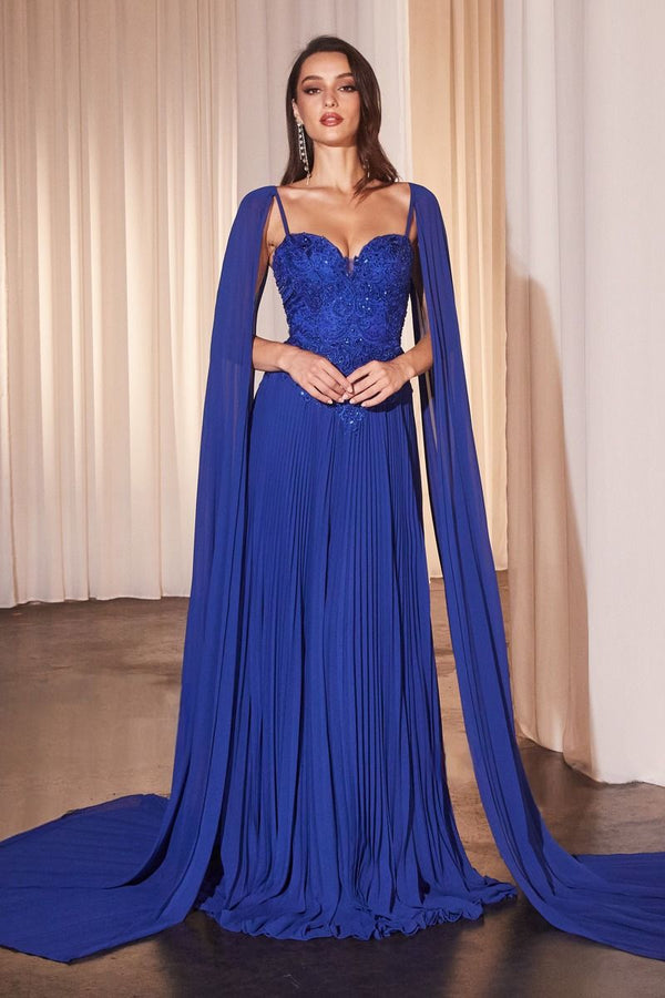 Pleated A-Line Gown With Cape Sleeves-0