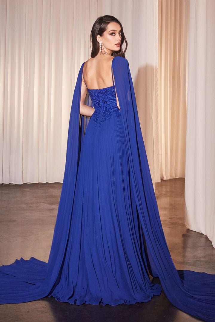 Pleated A-Line Gown With Cape Sleeves-3