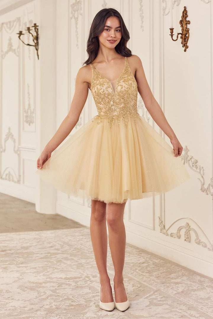 Beaded A-Line Layered Tulle Skirt Short Cocktail & Homecoming Dress CDCY022-6