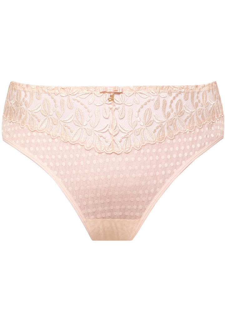Sheer Mesh Tulle Embroidered Brief Panty Donna-4