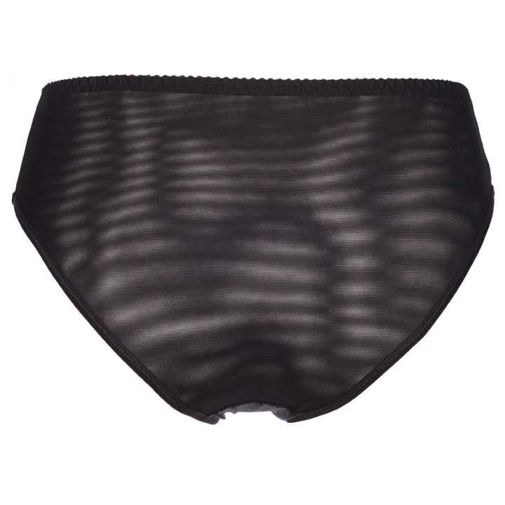 Sheer Bikini Panty Axami Shimmer-3