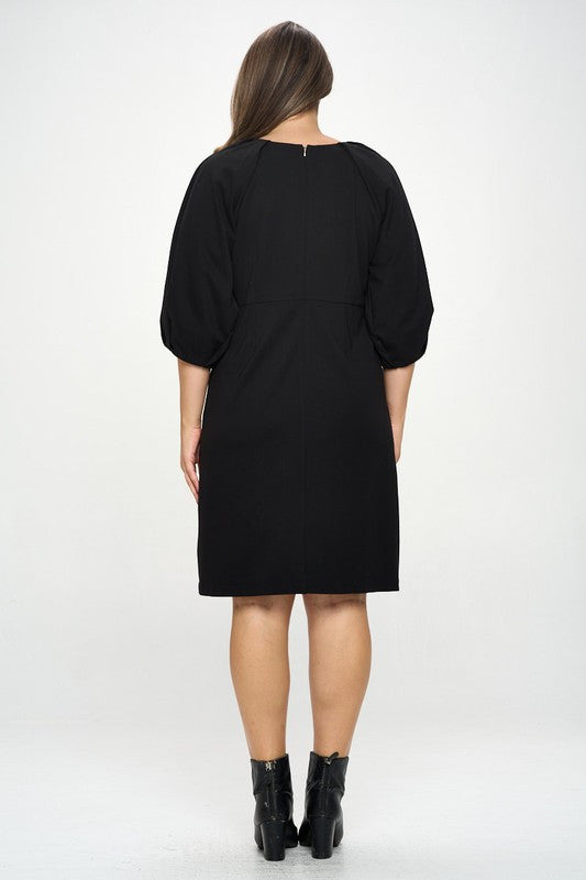 Balloon Sleeve Dress-4