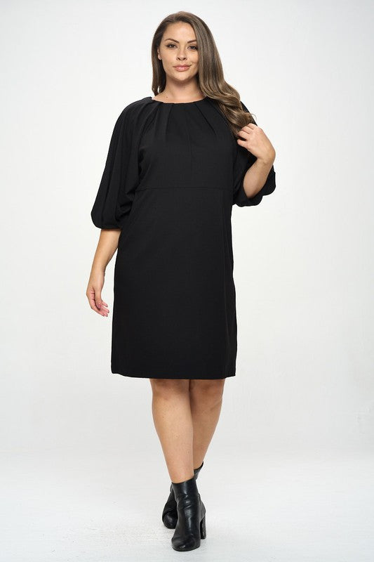 Balloon Sleeve Dress-2