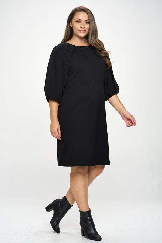 Balloon Sleeve Dress-3
