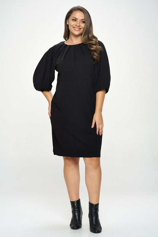 Balloon Sleeve Dress-1