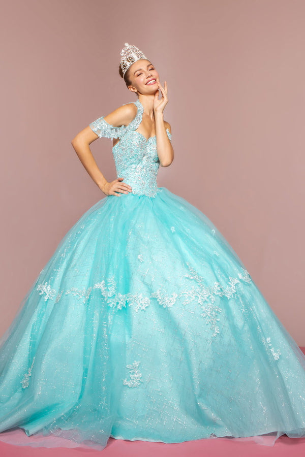 Embroidered Bodice Glitter Mesh Quinceanera Dress-0