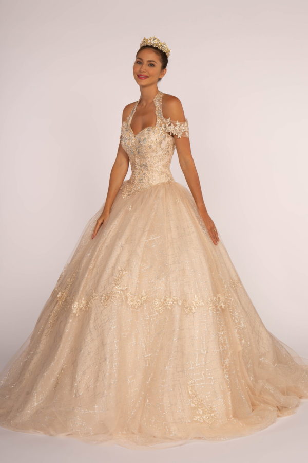 Embroidered Bodice Glitter Mesh Quinceanera Dress-4