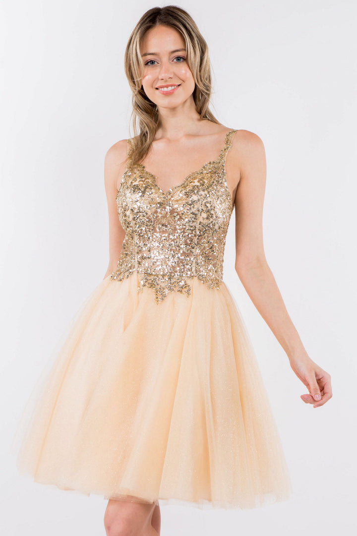 Sequin and Glitter Embellished Sheer Bodice V-Neck Short Dress-1
