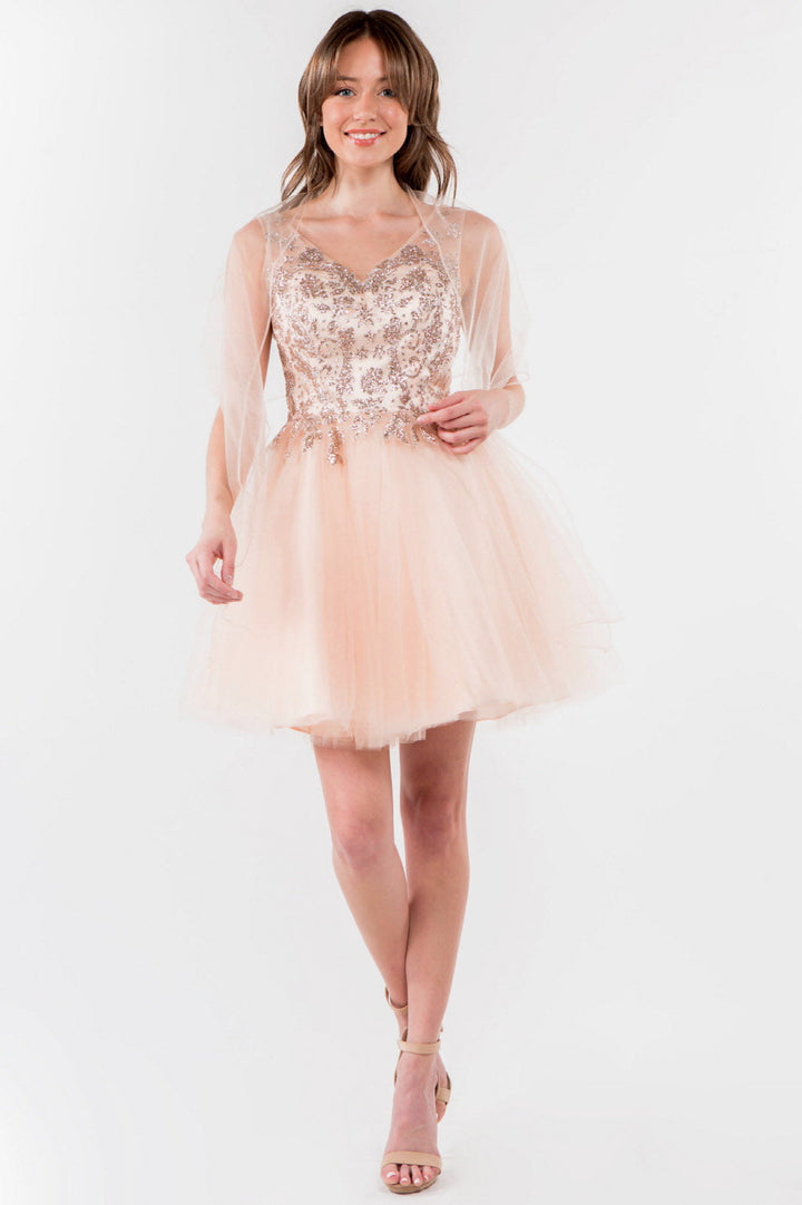 Glitter Embellished Bodice V-Neck Tulle Short Dress-0
