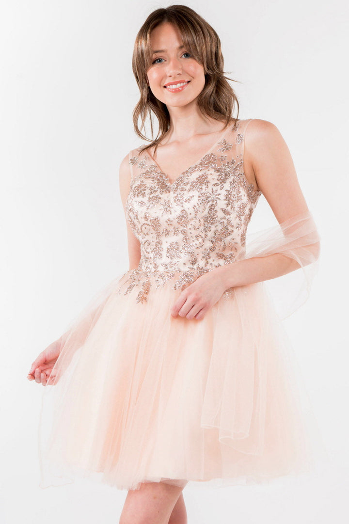 Glitter Embellished Bodice V-Neck Tulle Short Dress-2