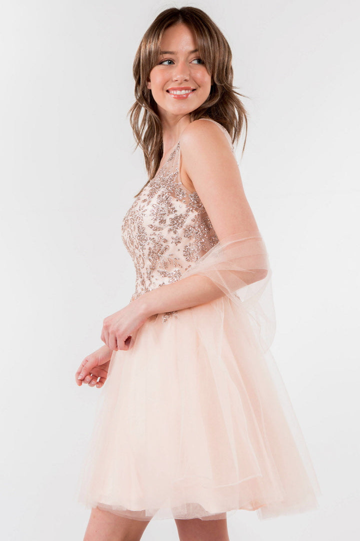 Glitter Embellished Bodice V-Neck Tulle Short Dress-3