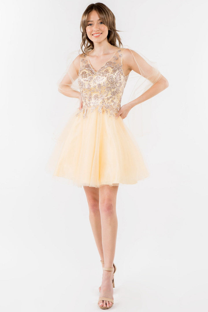 Glitter Embellished Bodice V-Neck Tulle Short Dress-6