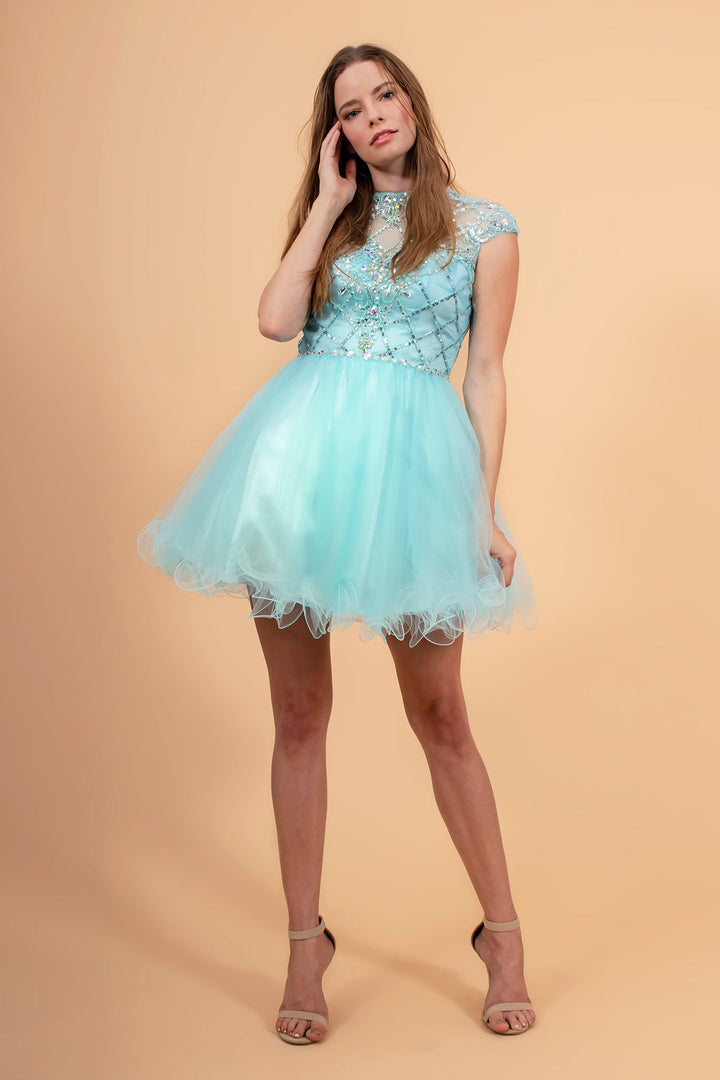 High Illusion Neck Cap Sleeve Short Dress-0