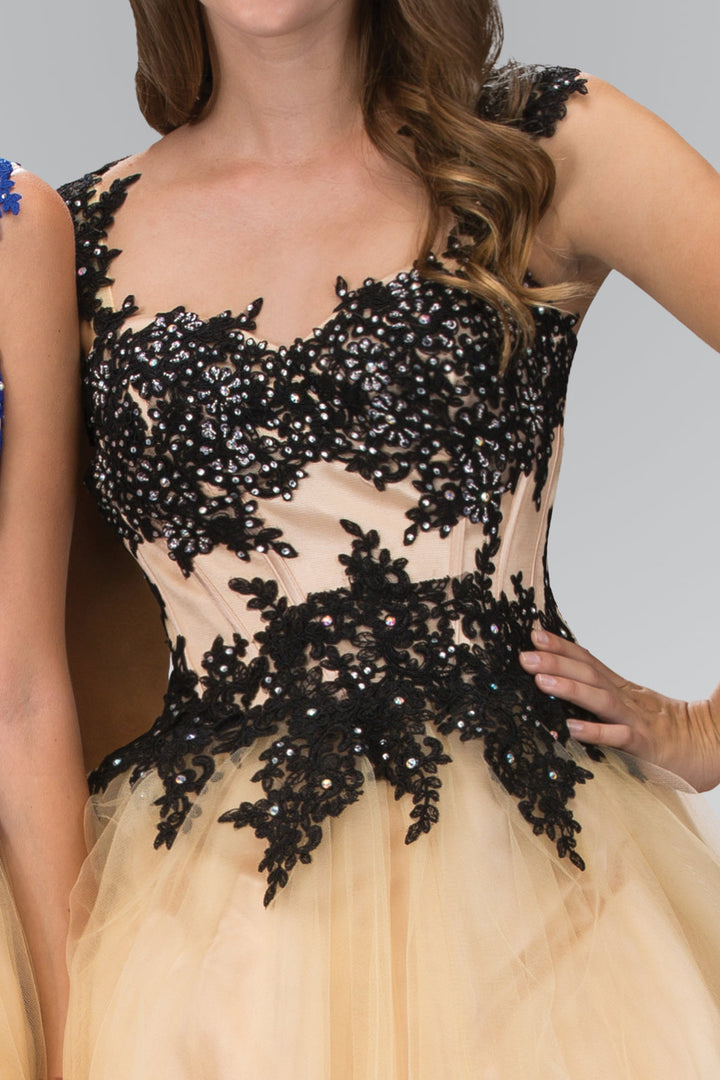 Rolled Hem Short Tulle Dress with Floral Lace Embellished Bodice-1