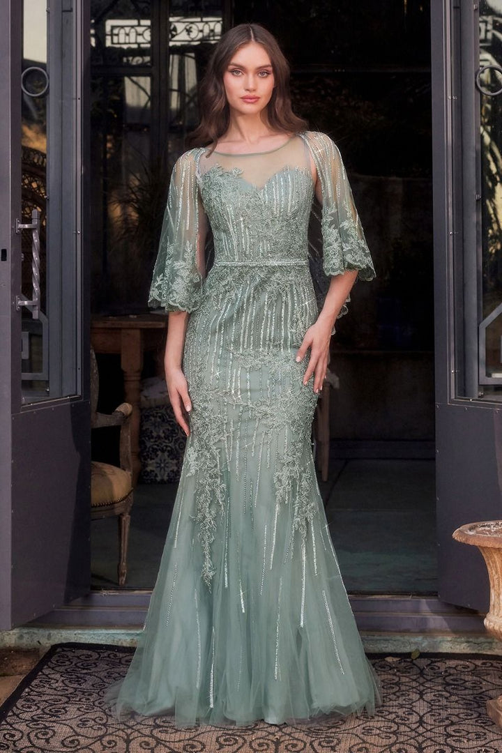 Lace Fitted Caplet Gown-3
