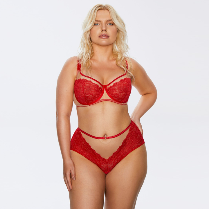 Sheer Mesh Full Busted Lace Bra Kinga Mind Love-2