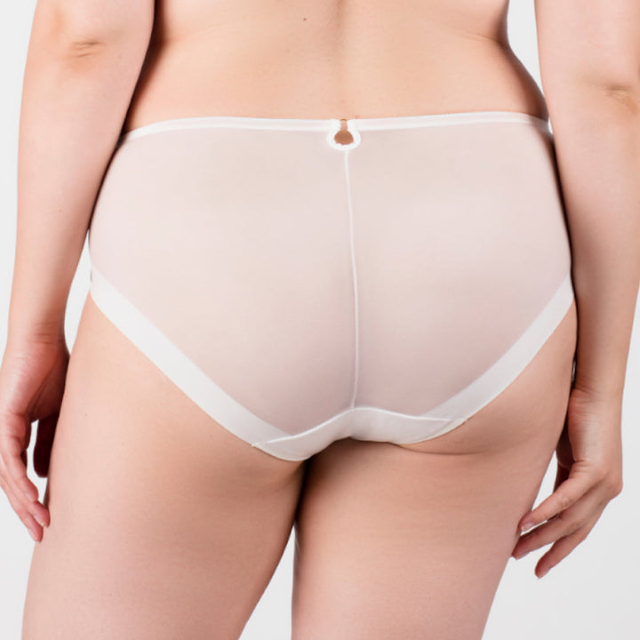 Sheer Mesh Tulle Embroidered Brief Panty Perla Ivory-1